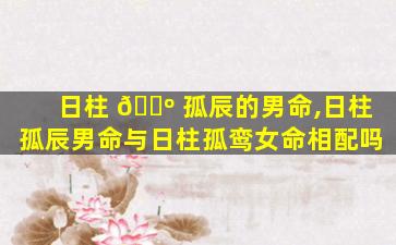 日柱 🌺 孤辰的男命,日柱孤辰男命与日柱孤鸾女命相配吗